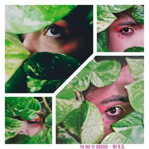 Ya no te busco(feat. Kvshyyyk)