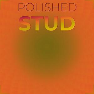 Polished Stud