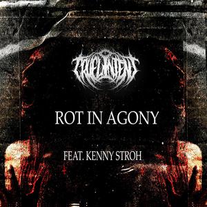 Rot In Agony (feat. Kenny Stroh & DeadVectors) [Explicit]