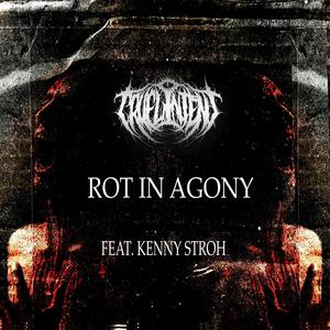 Rot In Agony (feat. Kenny Stroh & DeadVectors) (Explicit)
