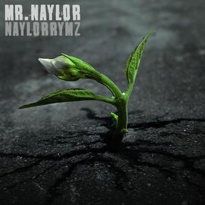 Naylor RYMZ (Explicit)