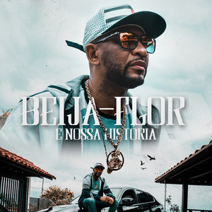 Beija-Flor e Nossa História