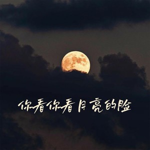 你看你看月亮的脸 (钢琴弹唱版)