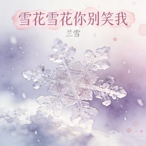 雪花雪花你别笑我