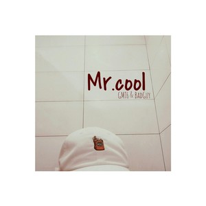 Mr.cool