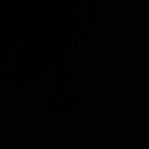 BlrrddOut (feat. stjgrimey & PCSTrap) (Explicit)