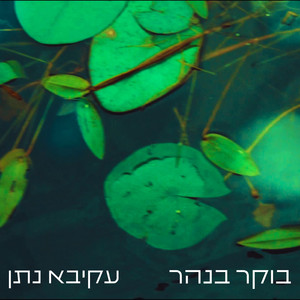 בוקר בנהר