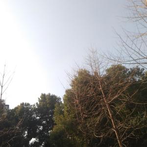 Away