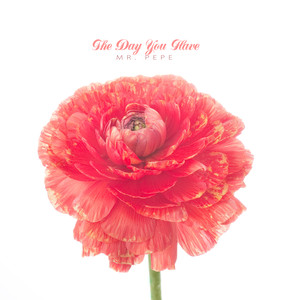 네가 있는 하루는 (The Day You Have)