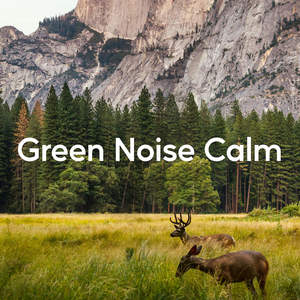 Calm Mind Noise