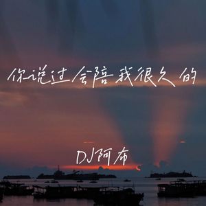 DJ阿布 - 白豆腐处刑曲