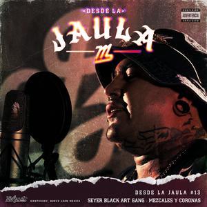 Mezcales Y Coronas (feat. Seyer Black Art Gang) (Explicit)