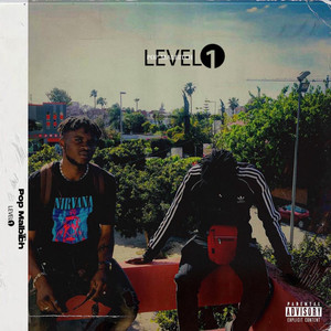 Level 1 (Explicit)