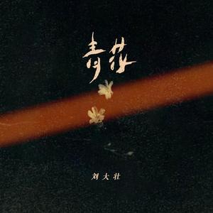 青花（遗憾无法说）-刘大壮