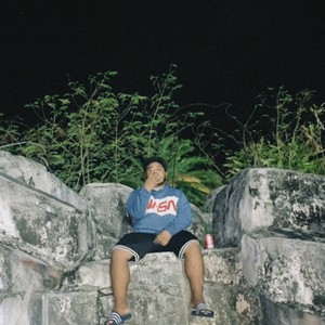 The Place Amongst The Trees (Explicit)