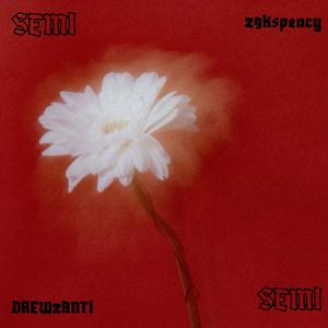 Semi (feat. DREW2ANTI) (Explicit)