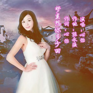 心 怡 - 梦里想你多少回 (伴奏)