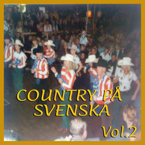 Country på Svenska Vol. 2