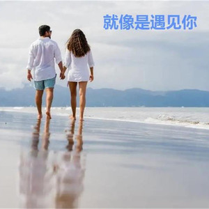 就像是遇见你 (伴奏)