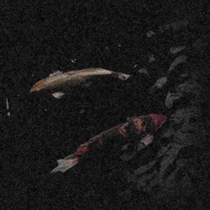 right here (feat. Amant Okane) (Explicit)