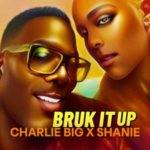 Bruk It Up (Radio Edit)