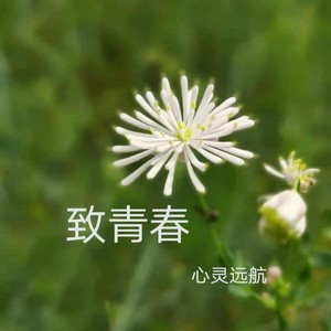 找到你