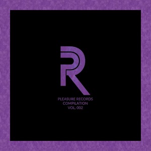 Pleasure Records Compilation, Vol. 2 (Copy)