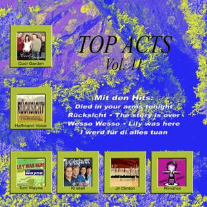 Top Acts Vol. 11