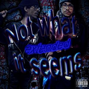 1c wannabes (feat. st47ic) (Explicit)