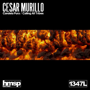 Calling All Tribes (Original mix)