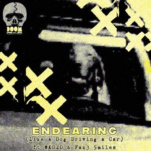 Endearing (Like a Dog Driving a Car) (Explicit)