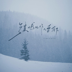 遗憾化作大雪落下