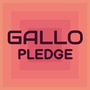 Gallo Pledge