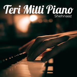 Teri Mitti Piano