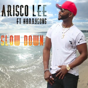 Slow Down(feat. Harrysong)