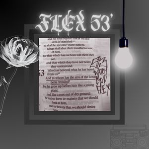 FLEX 53