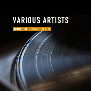 World of Chicago Blues