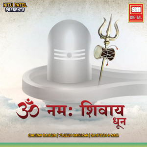 Om Namah Shivay