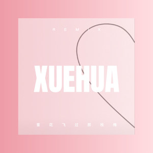 雪花飞过那枝梅 (DJ版)