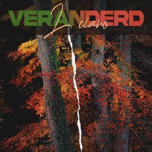 Veranderd (Explicit)