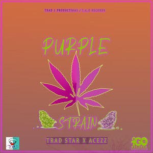 Purple Strain