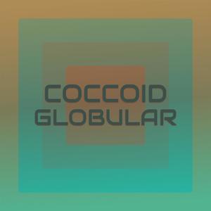 Coccoid Globular