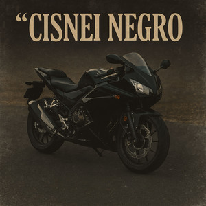 Cisnei Negro