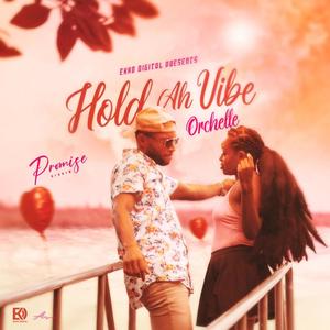 Hold Ah Vibe (Promise Riddim)