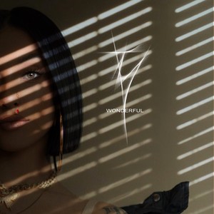 Wonderful