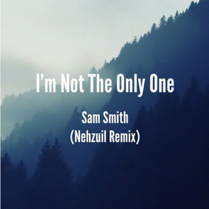 I'm Not The Only One (Nehzuil Remix)