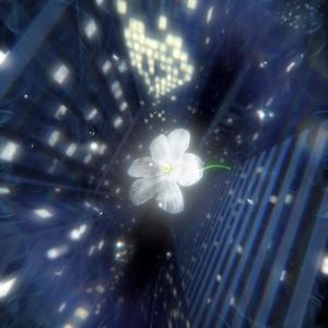 sometimes (feat. M$D NAVY, Arthrn, shybot, Vinss, Kodgy & Kauda) (Explicit)