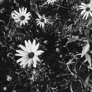 never enough! (feat. aftrthght) (Explicit)