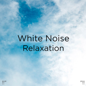 White Noise Relaxation