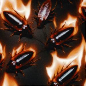 Roach (feat. Vails & The Sound Clown) (Explicit)